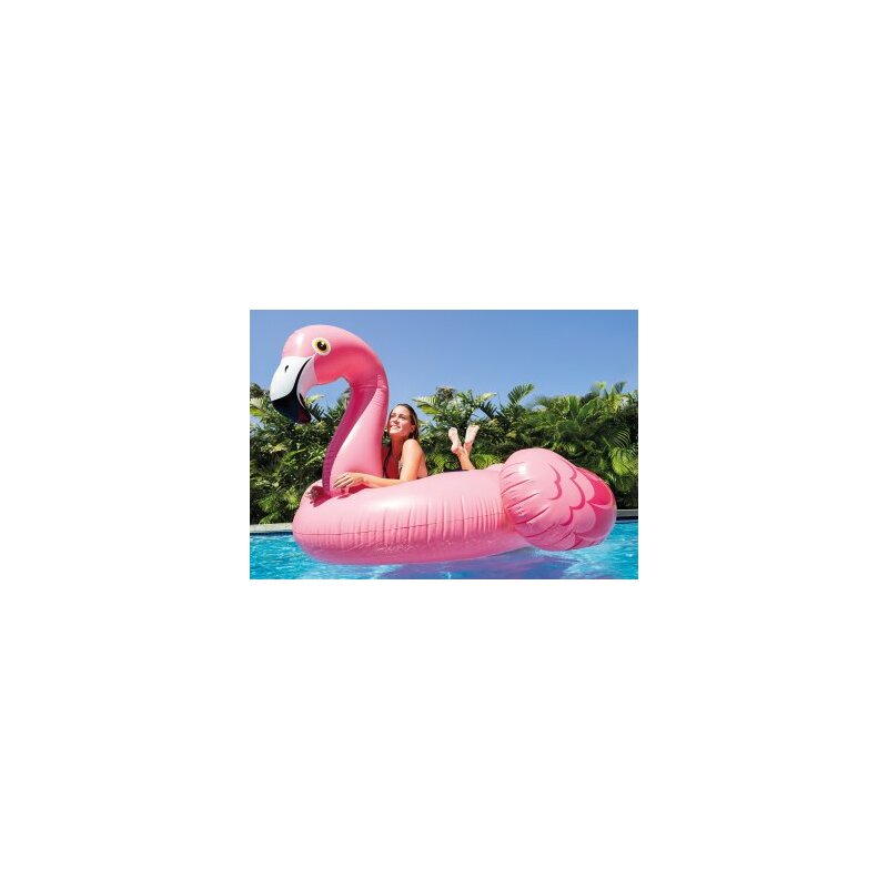 Sommerset. Schwimmbad Schwimmt. Aufblasbare Tiere Flamingo, Ente