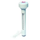 Bestway Thermometer basic